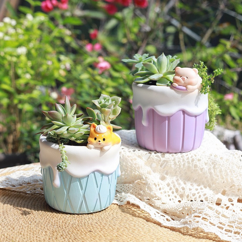 Sweet Explorers Planter Series