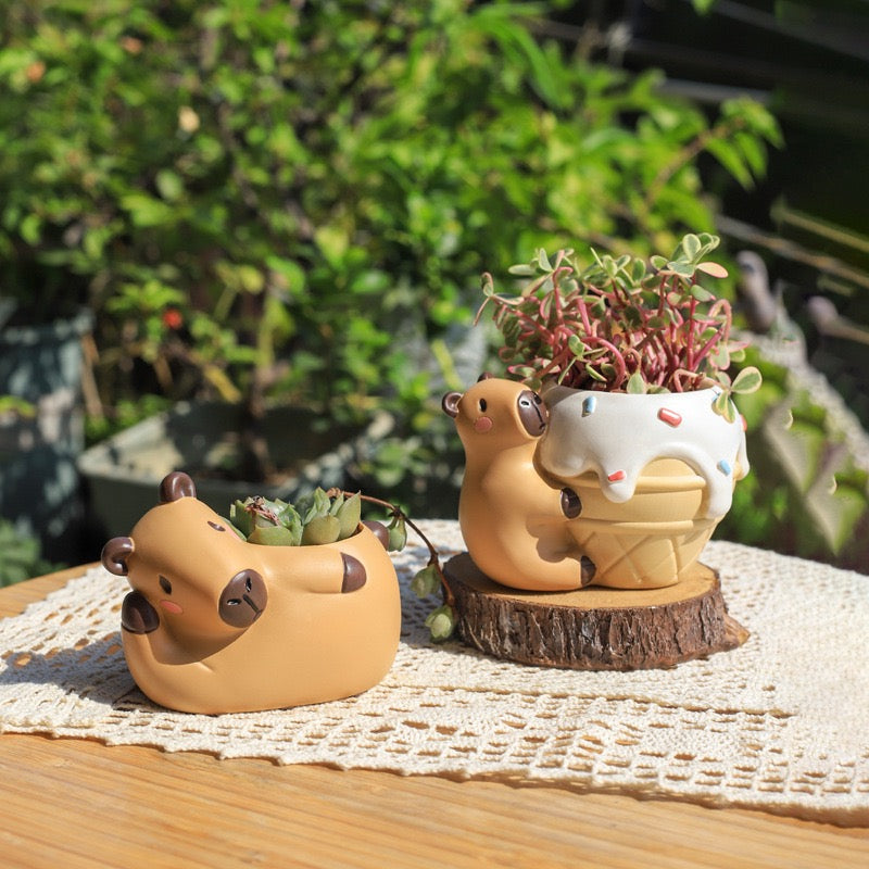 Capybara Planters