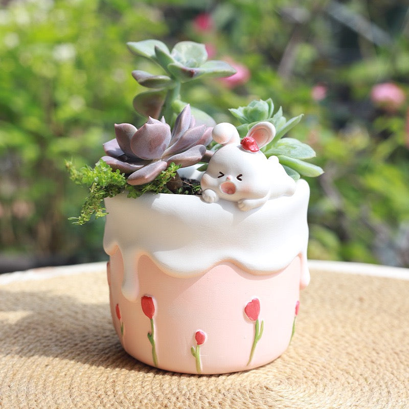 Sweet Explorers Planter Series