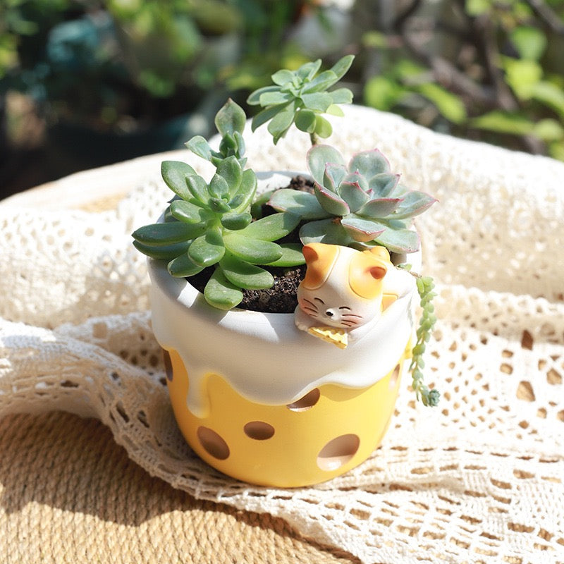 Sweet Explorers Planter Series
