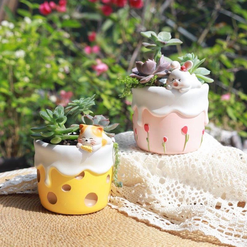 Sweet Explorers Planter Series