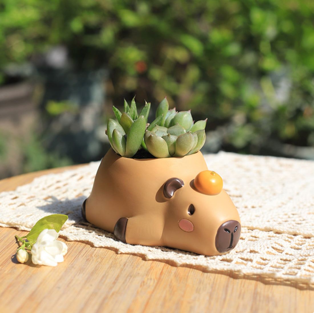 Capybara Planters