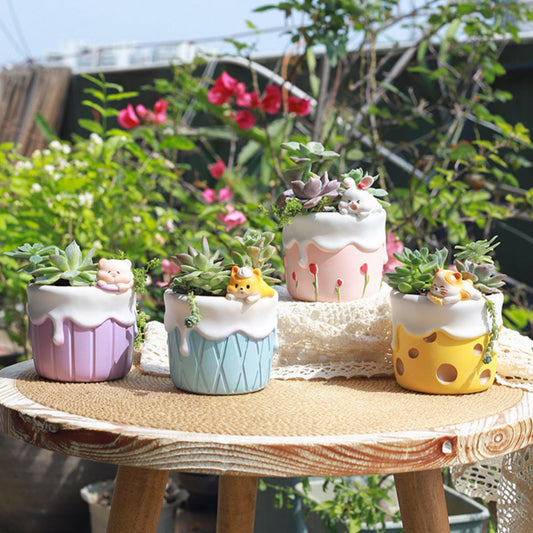 Sweet Explorers Planter Series